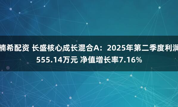 楠希配资 长盛核心成长混合A：2025年第二季度利润555.14万元 净值增长率7.16%