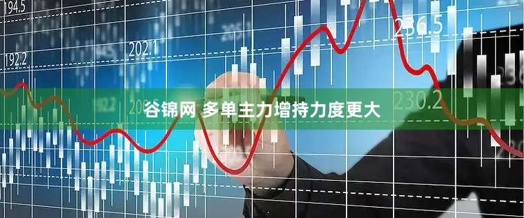 谷锦网 多单主力增持力度更大
