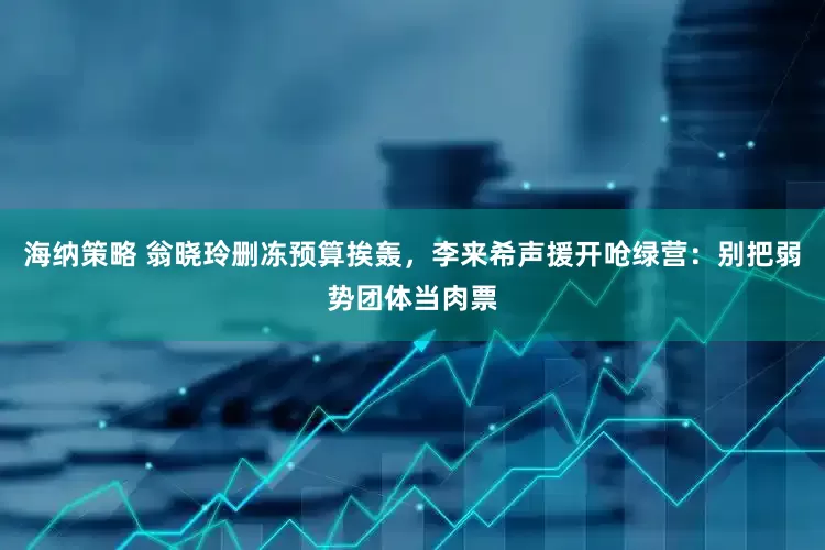 海纳策略 翁晓玲删冻预算挨轰，李来希声援开呛绿营：别把弱势团体当肉票